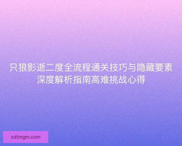 只狼影逝二度全流程通关技巧与隐藏要素深度解析指南高难挑战心得
