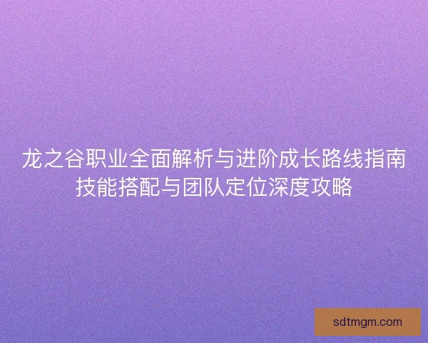 龙之谷职业全面解析与进阶成长路线指南技能搭配与团队定位深度攻略